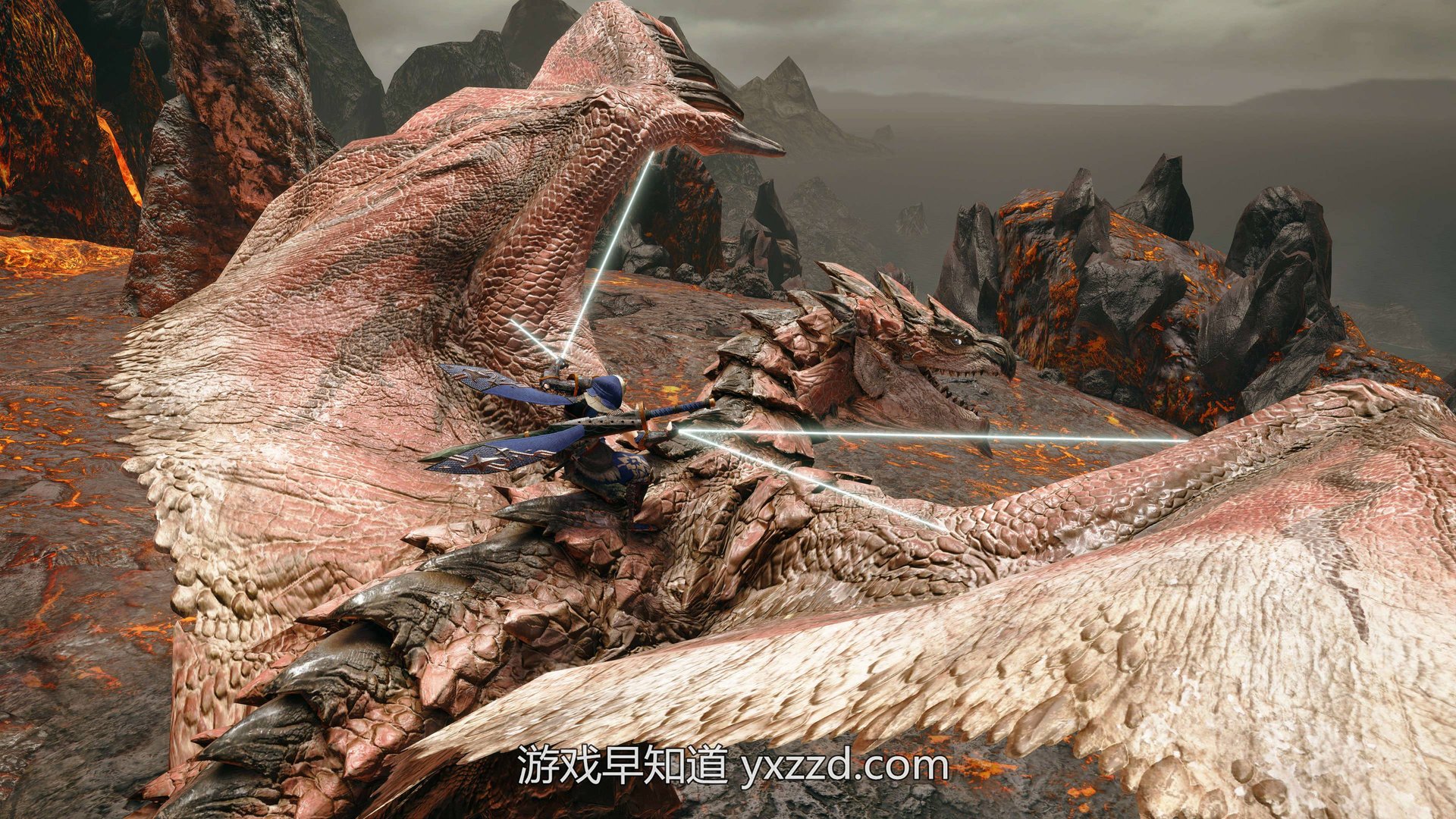 空洞骑士 完整版 截图14